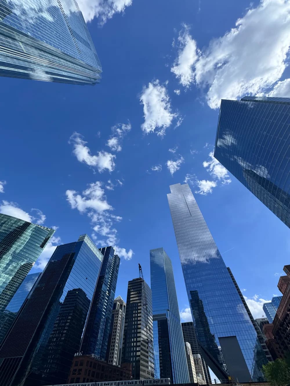 Looking up at Chicago skyscrapers during an architecture tour.